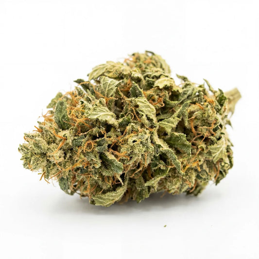 This Alien Cookies CBD flower showcases dense structure and frosty resin coverage. A standout strain offering balanced flavor and relaxing CBD effects | Hurcann