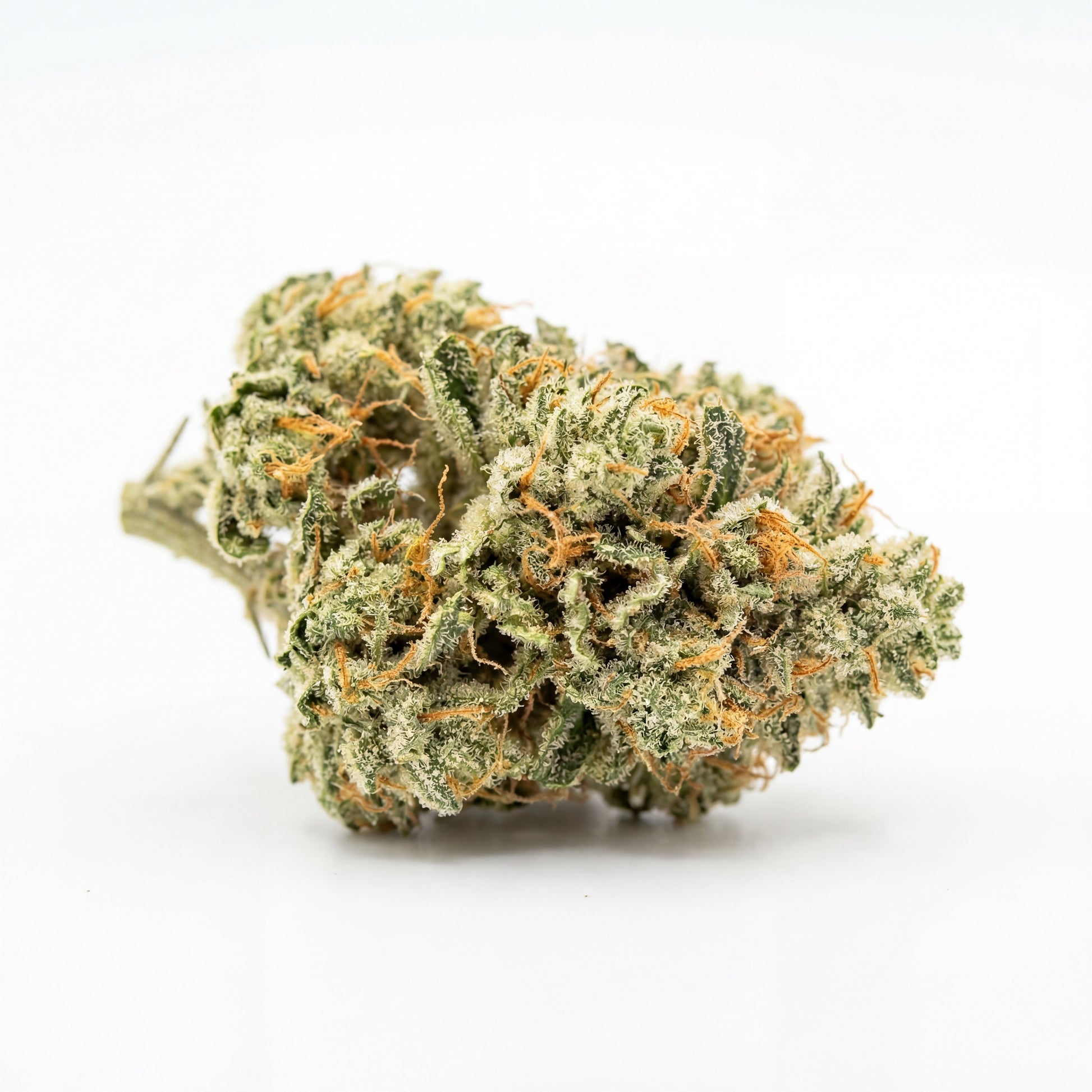 Premium White Widow CBD flower featuring vibrant green tones and bright orange pistils. Dense structure and frosty trichomes make this strain visually distinctive and highly appealing.