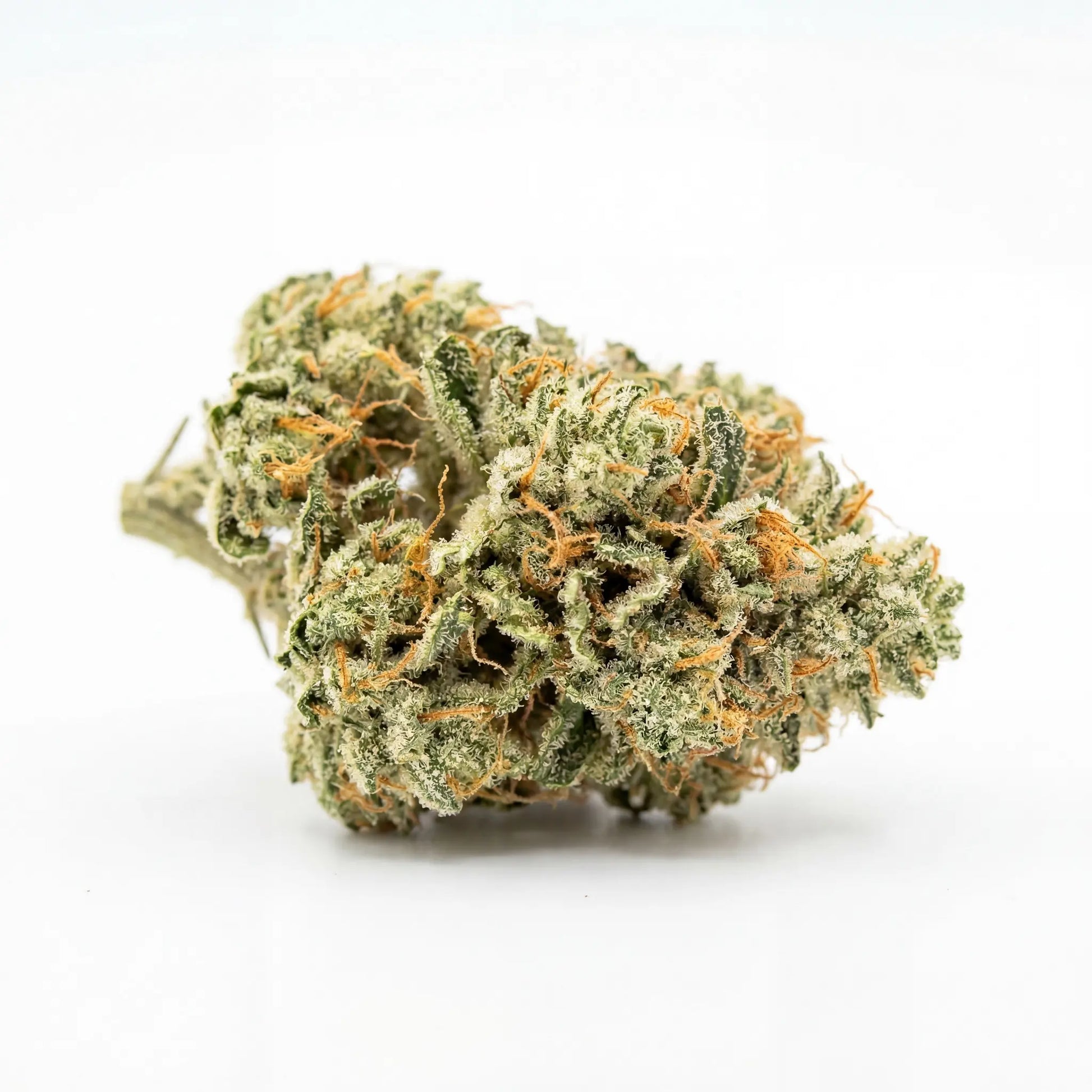 Premium White Widow CBD flower featuring vibrant green tones and bright orange pistils. Dense structure and frosty trichomes make this strain visually distinctive and highly appealing.
