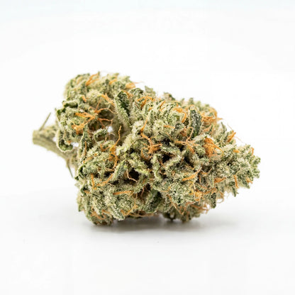 Premium White Widow CBD flower featuring vibrant green tones and bright orange pistils. Dense structure and frosty trichomes make this strain visually distinctive and highly appealing.