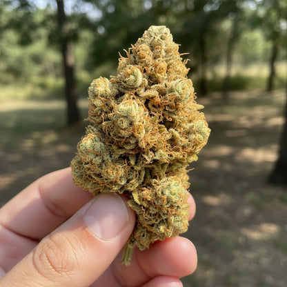 It’s zesty, fruity, and invigorating.