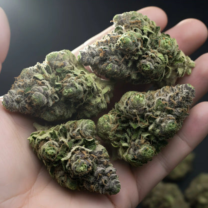 In hand photo of Super Boof THCA hemp flower hybrid AAA grade, showcasing dense resin rich buds with deep purple tones