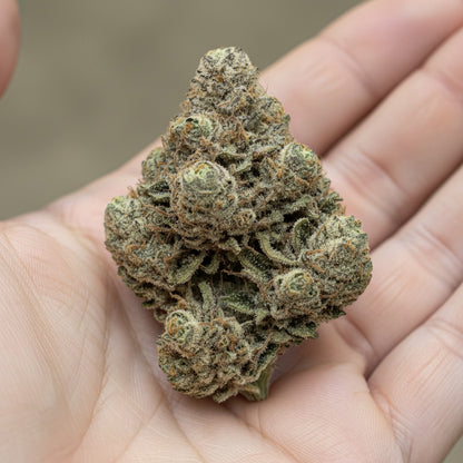 A vibrant, flavorful hybrid that combines creativity, happiness, and a calm, balanced finish