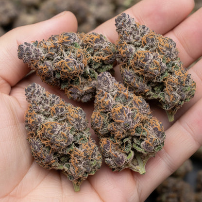 Candy Peaches THCA Hemp Flower colorful buds arranged aesthetically, perfect for mood uplift