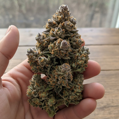 Sweet vanilla and cookie dough blend with hints of lavender and spice. 