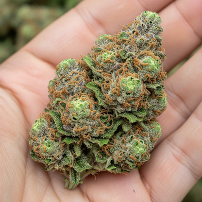 Refreshing, fruity, and perfectly balanced 