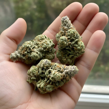 In hand photo of Pineapple Ex THCA hemp flower sativa AA grade, displaying vibrant green buds with sticky resin and tropical appeal