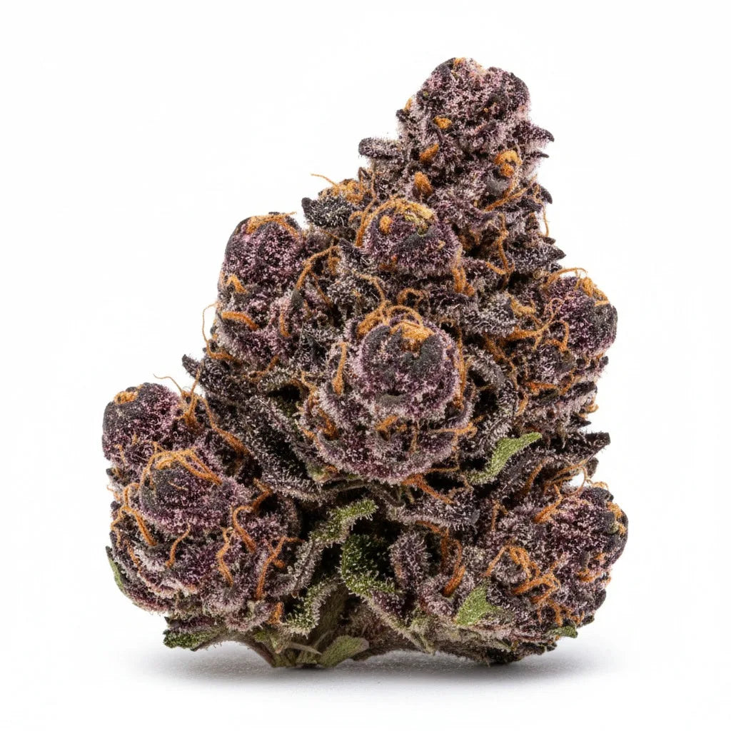 Alternative angle photo of Jealousy THCA hemp flower hybrid AA grade, showing dark green and purple buds with orange pistils and frosty trichomes | Hurcann
