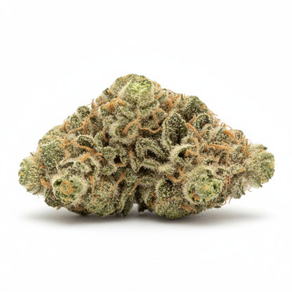 Key Lime Pie features tight, frosty buds with lime-green tones and a silvery trichome coating.