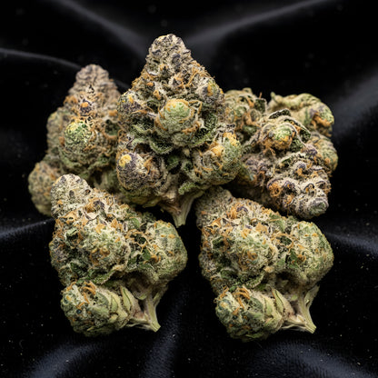 Lifestyle image of Ghosted THCA hemp flower AAA grade hybrid, displaying ethereal pale green buds with creamy mint and floral aroma, ideal for calm focus and peaceful relaxation