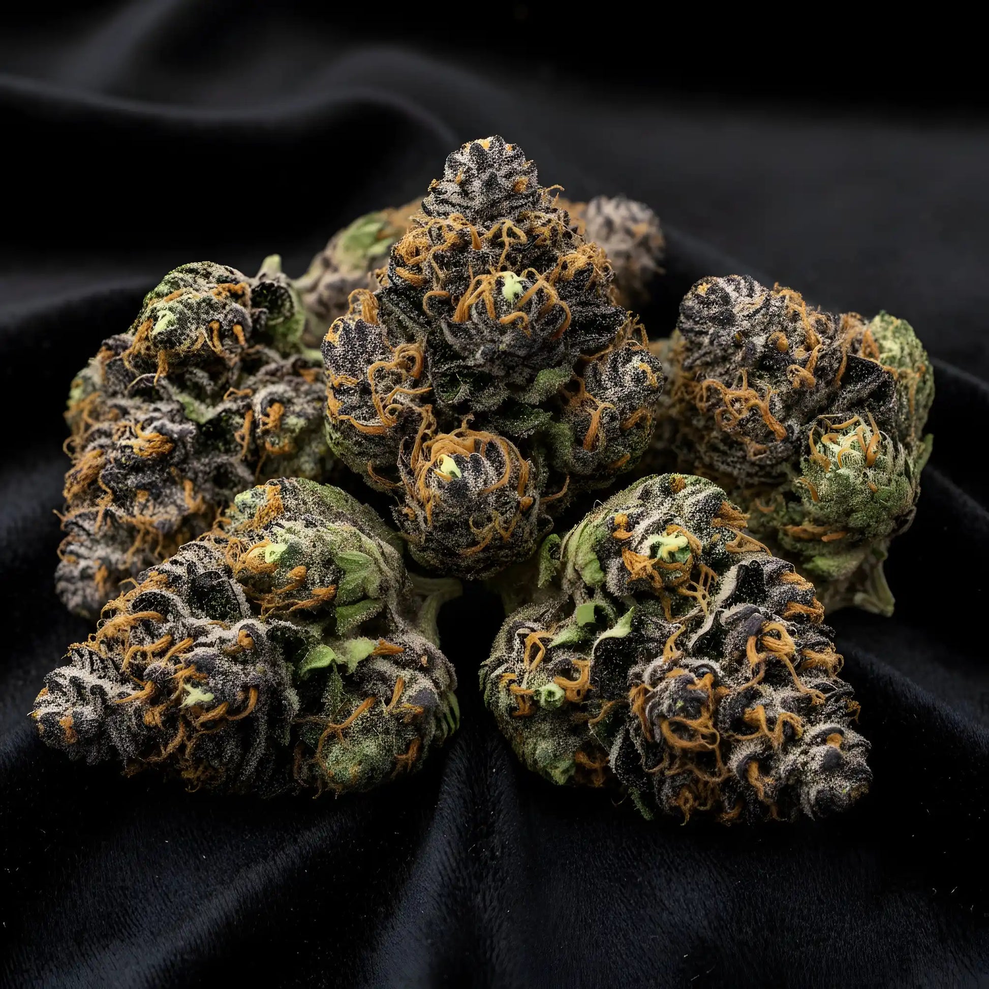 Lifestyle image of Texas Pound Cake THCA hemp flower AAA grade indica, showcasing dessert like purple buds with sweet baked goods aroma, ideal for nighttime relaxation