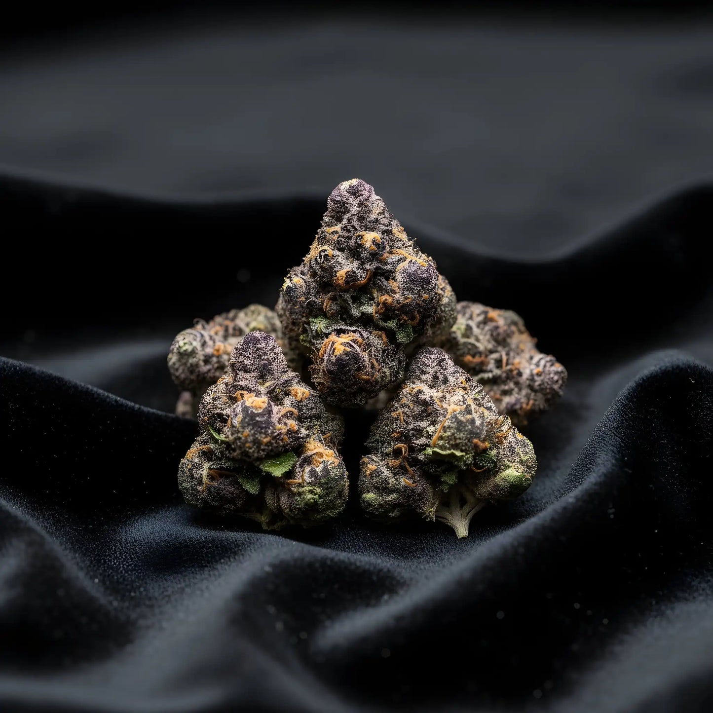 Lifestyle image of Grape Cherry Gelato THCA hemp flower AAA grade hybrid, displaying rich colorful buds with grape cherry sweetness, ideal for euphoric uplift and mellow relaxation | Hurcann