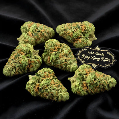 Lifestyle image of King Kong Killer THCA hemp flower AAA grade indica dominant, showcasing heavy resinous buds with pungent diesel aroma, ideal for deep relaxation and stress relief | Hurcann