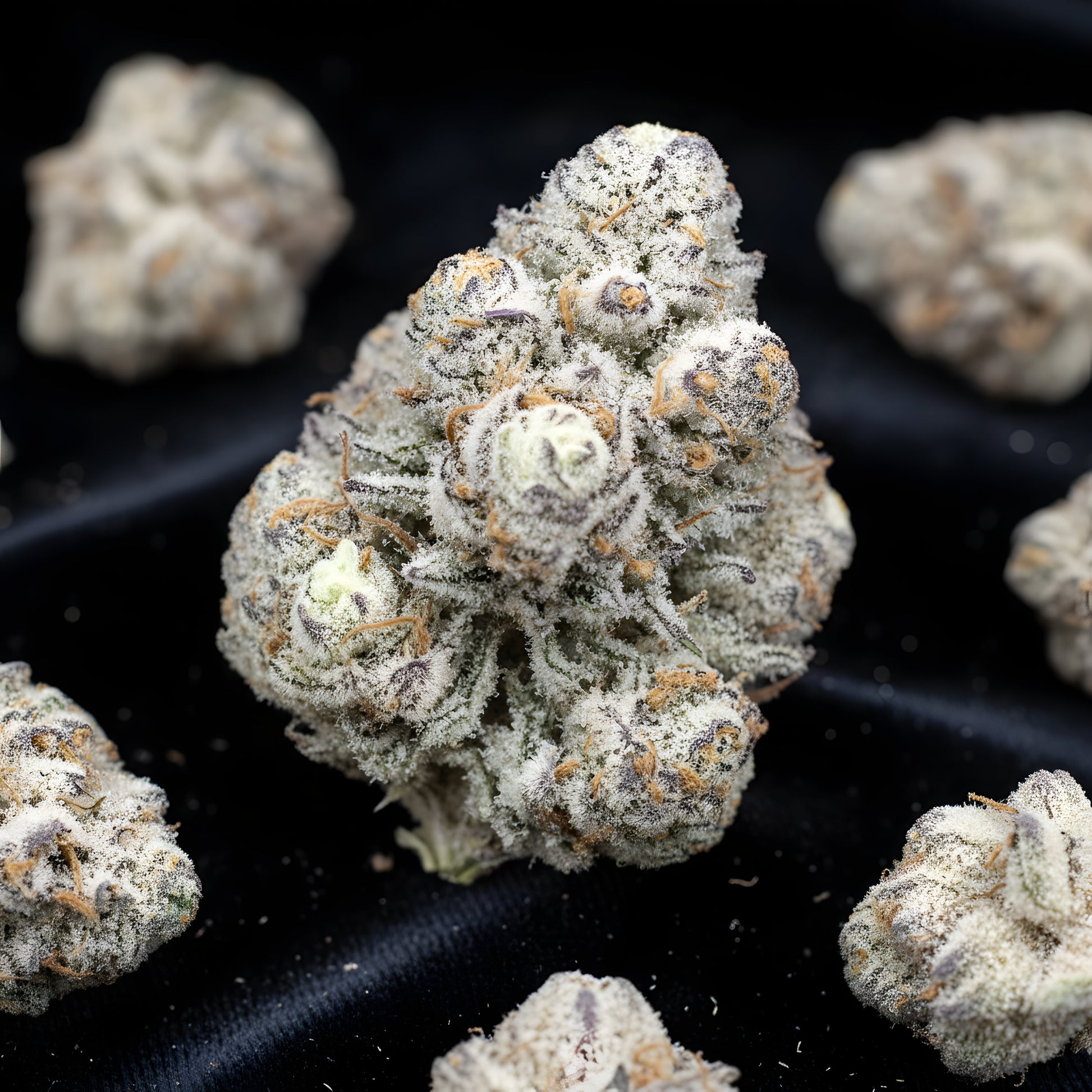 Lifestyle image of Oreoz Blizzard THCA hemp flower AAA grade indica dominant, displaying snowy purple buds with creamy dessert aroma, ideal for evening relaxation