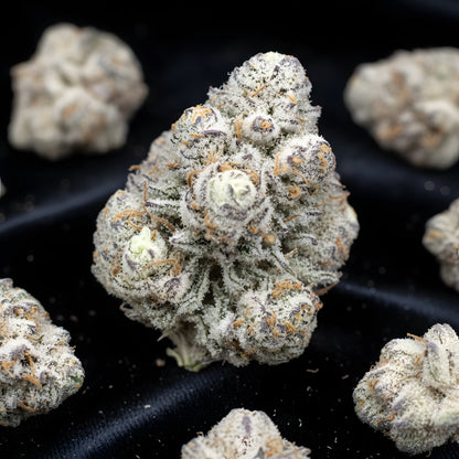 Lifestyle image of Oreoz Blizzard THCA hemp flower AAA grade indica dominant, displaying snowy purple buds with creamy dessert aroma, ideal for evening relaxation