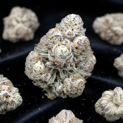 Lifestyle image of Oreoz Blizzard THCA hemp flower AAA grade indica dominant, displaying snowy purple buds with creamy dessert aroma, ideal for evening relaxation