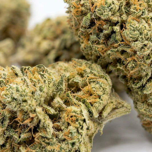 Extreme close-up of Ice Cream Cake CBD flower buds showing dense medium-green calyxes blanketed in white trichome frost and curling amber-orange pistils | Hurcann