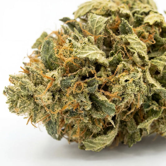 Up close, Alien Cookies CBD reveals a dense coating of sparkling trichomes. Carefully cultivated to highlight its terpene-rich profile and premium quality | Hurcann