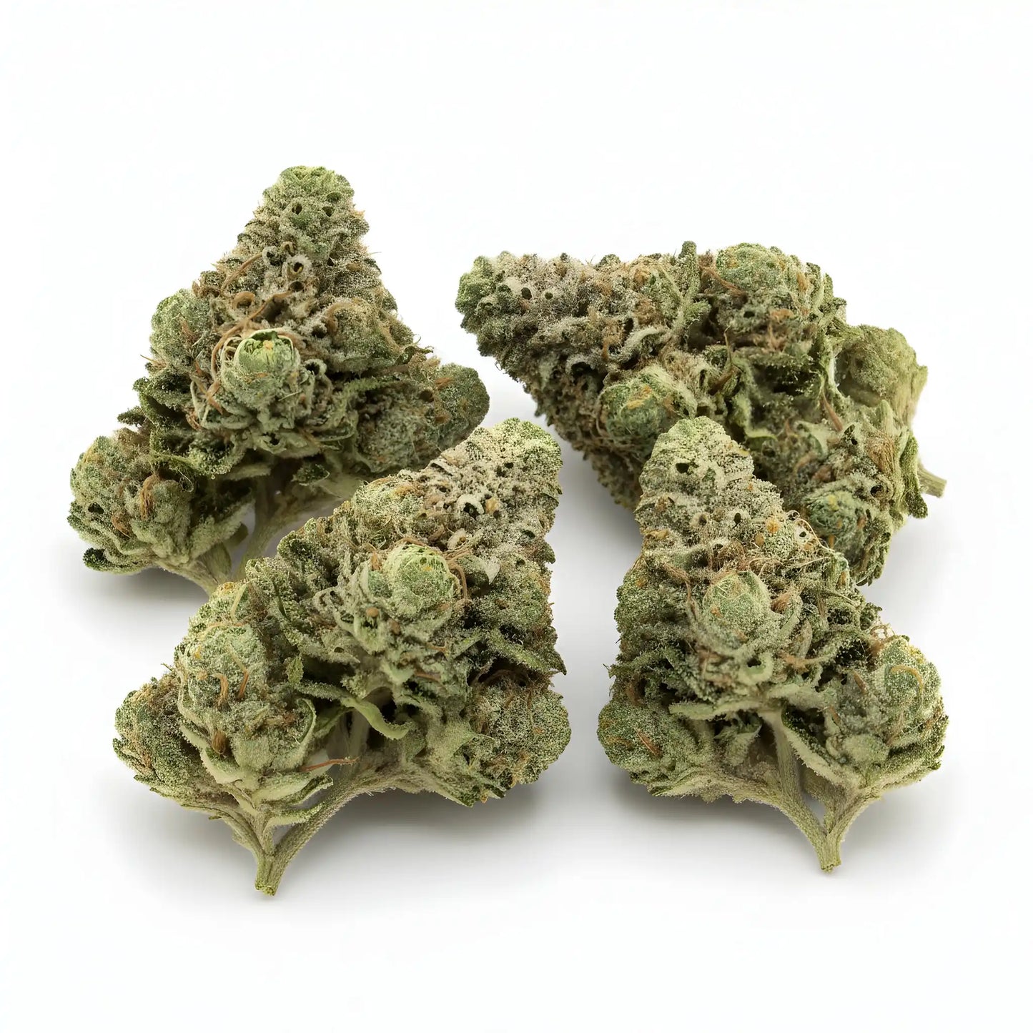 Main product photo of Afghani Kush THCa hemp flower pure indica AA grade, showing dense forest-green buds with orange pistils and frosty trichomes | Hurcann