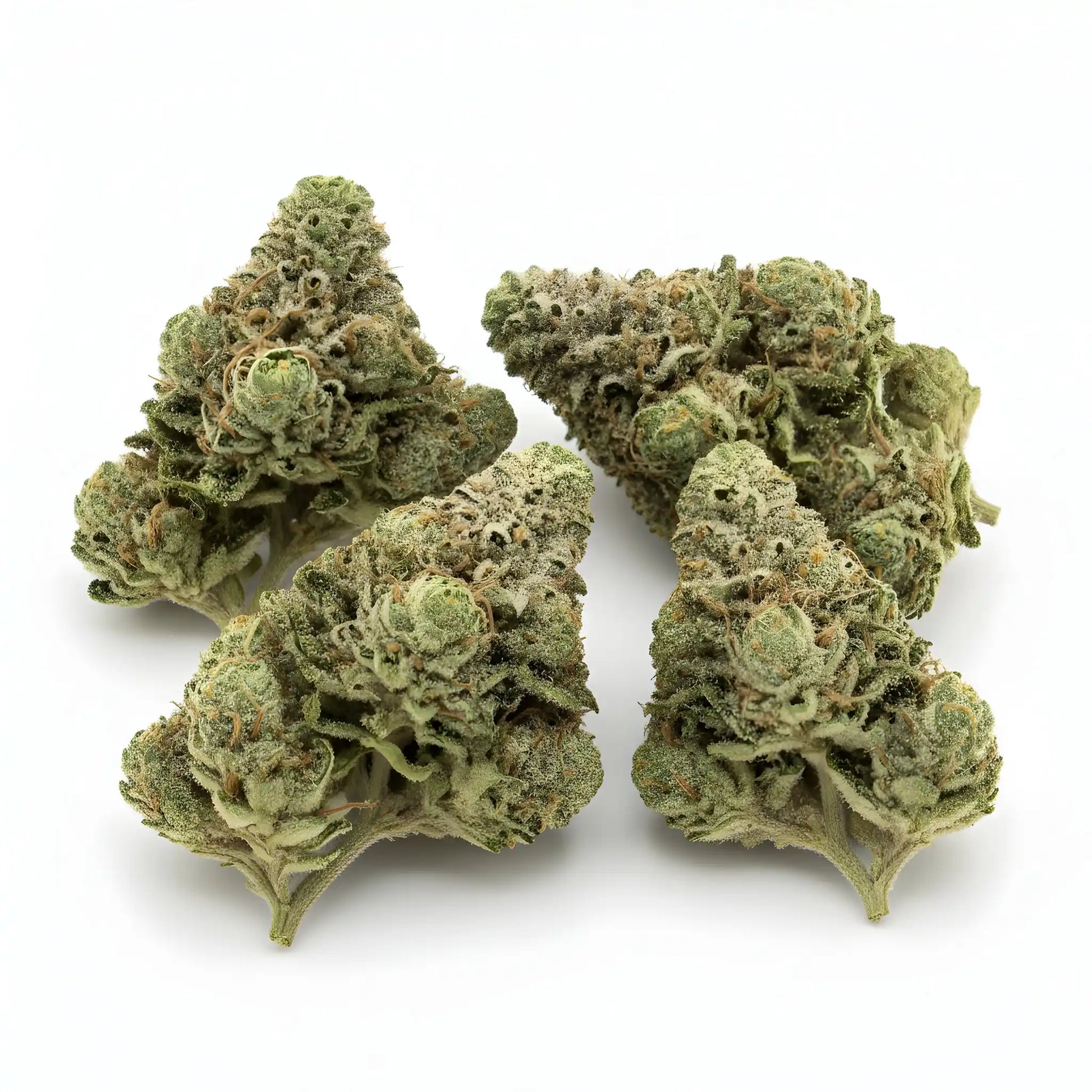 Main product photo of Afghani Kush THCa hemp flower pure indica AA grade, showing dense forest-green buds with orange pistils and frosty trichomes | Hurcann