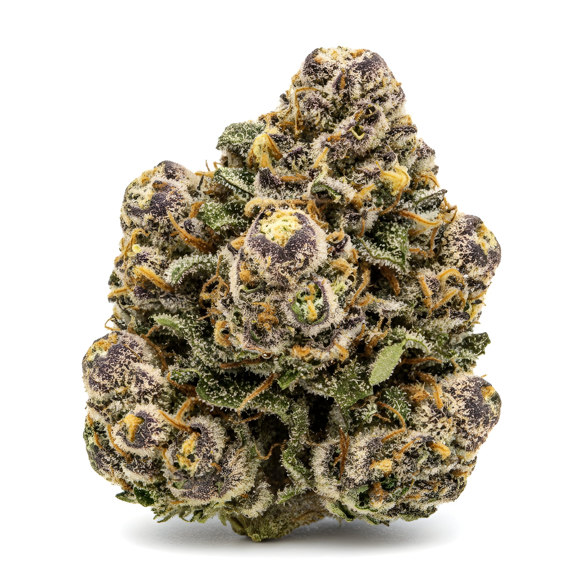Main product photo of Ghosted THCA hemp flower hybrid AAA grade, featuring frosty pale green buds with a ghostly white shimmer, creamy mint and floral aroma, 31 percent THCA