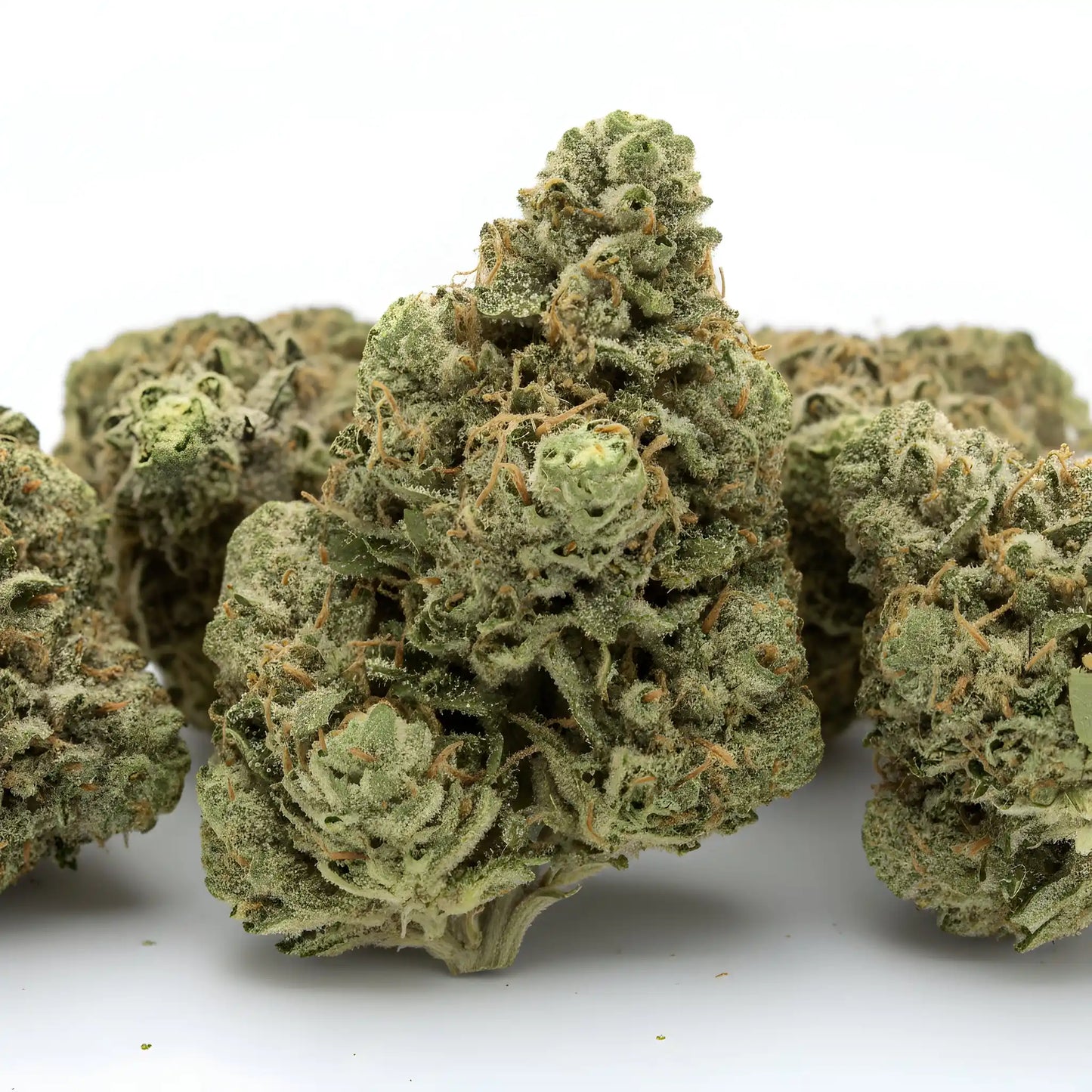 Main product photo of Windu THCA hemp flower AA grade hybrid, featuring dense fluffy buds with pine mint citrus aroma, Skywalker OG x Kush Mintz lineage.