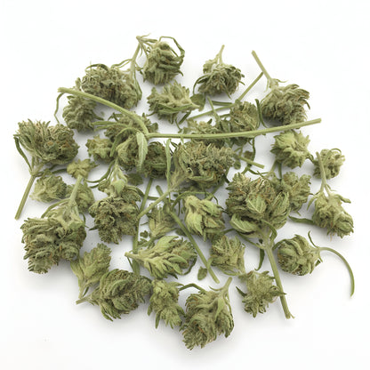 Main product photo of Jet Fuel THCA hemp flower sativa-dominant hybrid A-Grade