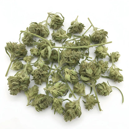 Main product photo of Jet Fuel THCA hemp flower sativa-dominant hybrid A-Grade | Hurcann
