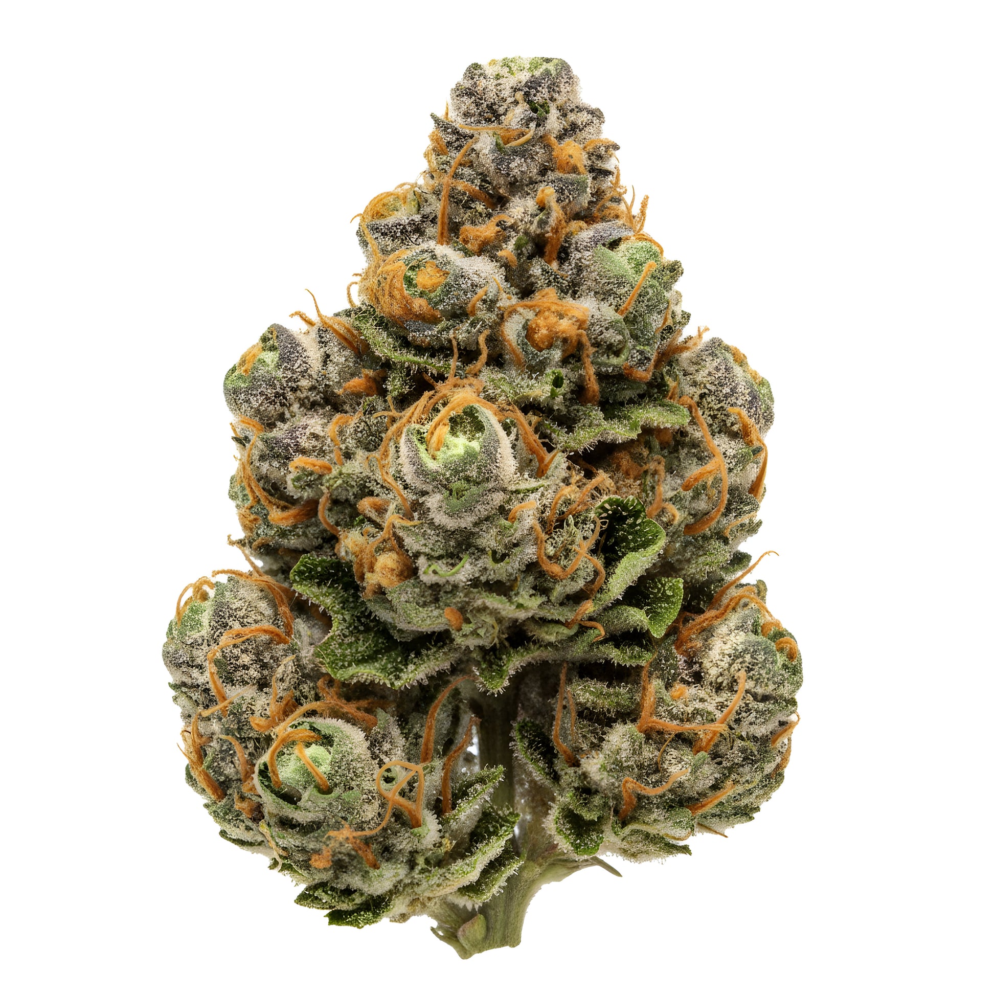Main product photo of Vanilla Berry THCA hemp flower AA grade, an indica-dominant strain coated in thick trichomes with a sugary vanilla shimmer