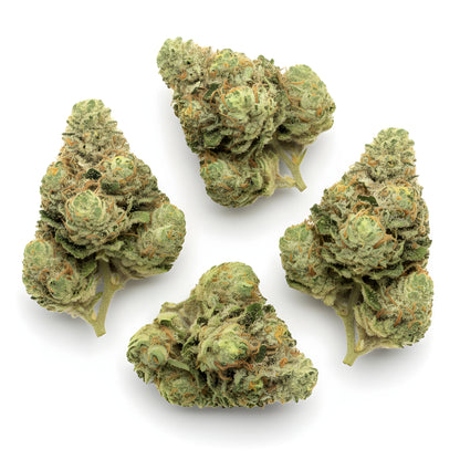 Main product photo of Key Lime Pie THCA hemp flower AA grade, an indica-dominant strain with compact resinous buds and citrus dessert appeal