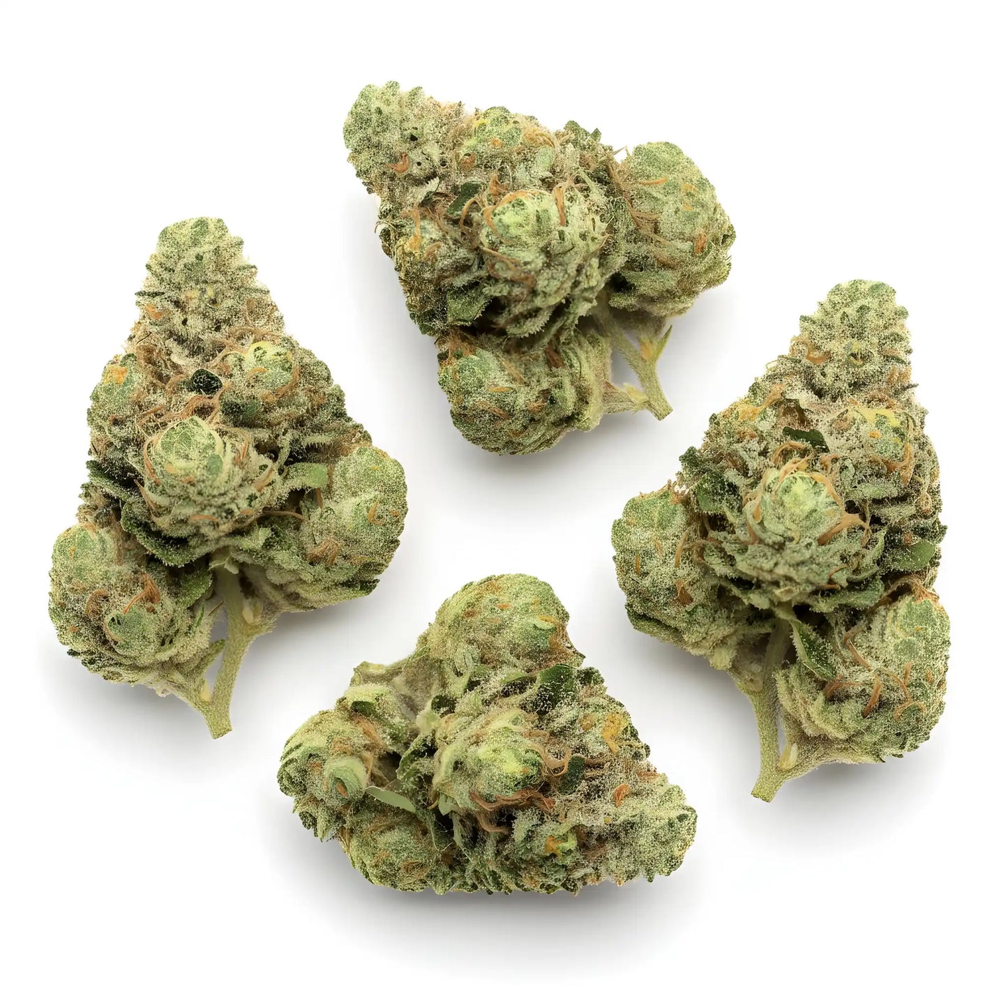 Main product photo of Key Lime Pie THCA hemp flower AA grade, an indica-dominant strain with compact resinous buds and citrus dessert appeal | Hurcann