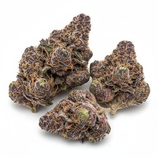 Jealousy’s buds are a visual masterpiece — dark green and purple tones highlighted by orange pistils and a frosty coat of trichomes
