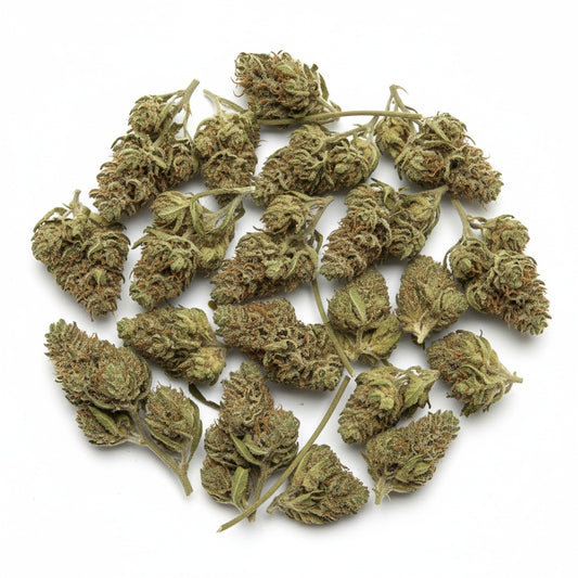 Moonblast buds are dark and shimmering, featuring deep purple hues and a thick layer of silver trichomes that glow under light