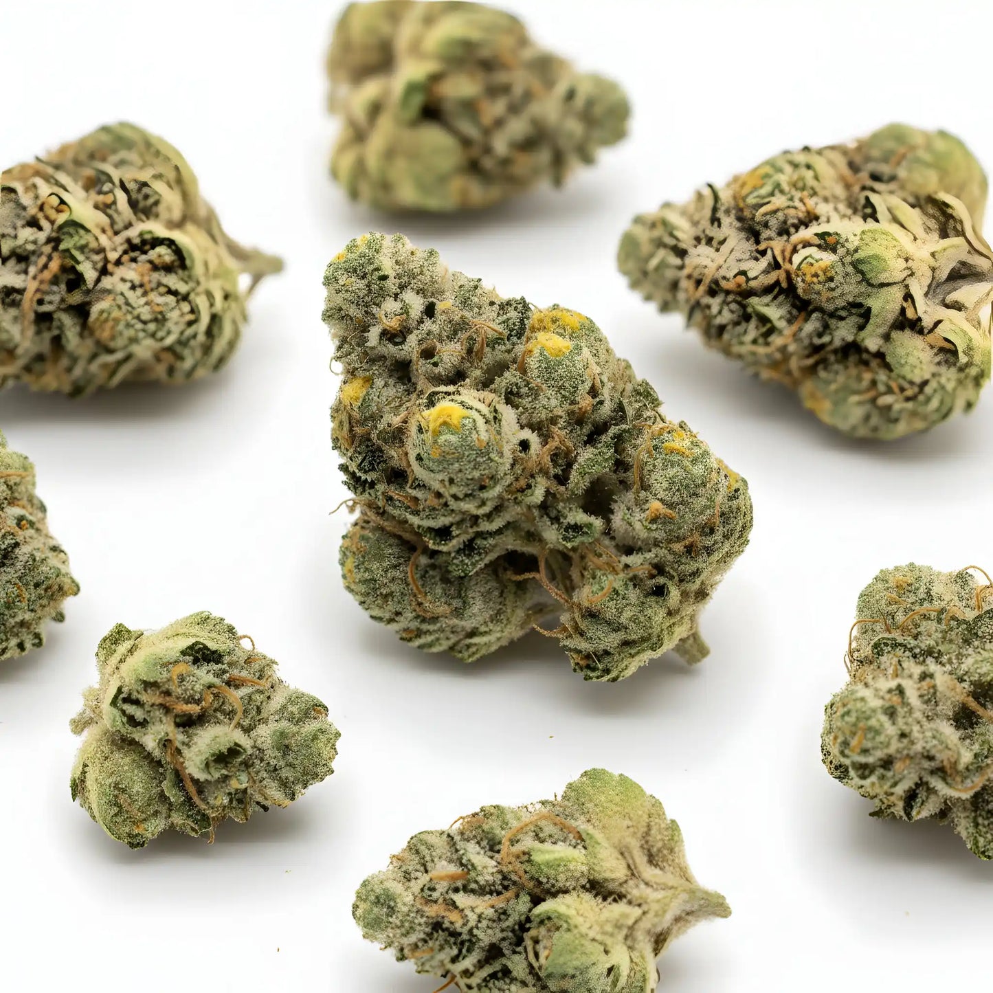Main product photo of Pineapple Ex THCA hemp flower AA grade sativa, featuring tropical Pineapple Express x Maui Wowie genetics and resin-coated buds