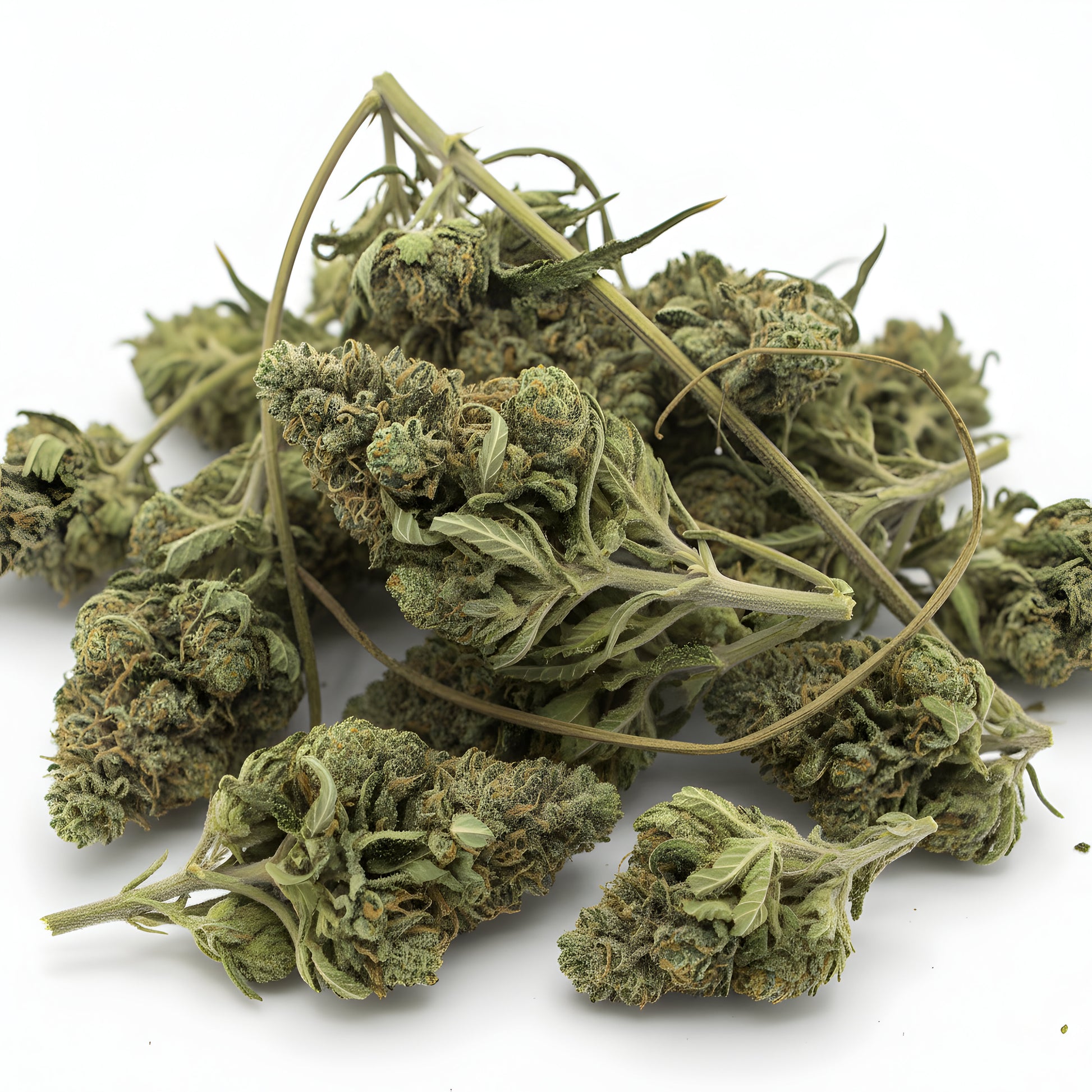 Main product photo of Jungle Fuel THCa Hemp Flower for wholesale showcasing AAA-grade indoor-grown hybrid buds with strong diesel, pine, and earthy aroma