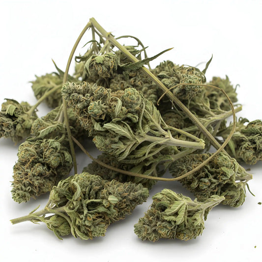Main product photo of Jungle Fuel THCa Hemp Flower for wholesale showcasing AAA-grade indoor-grown hybrid buds with strong diesel, pine, and earthy aroma | Hurcann