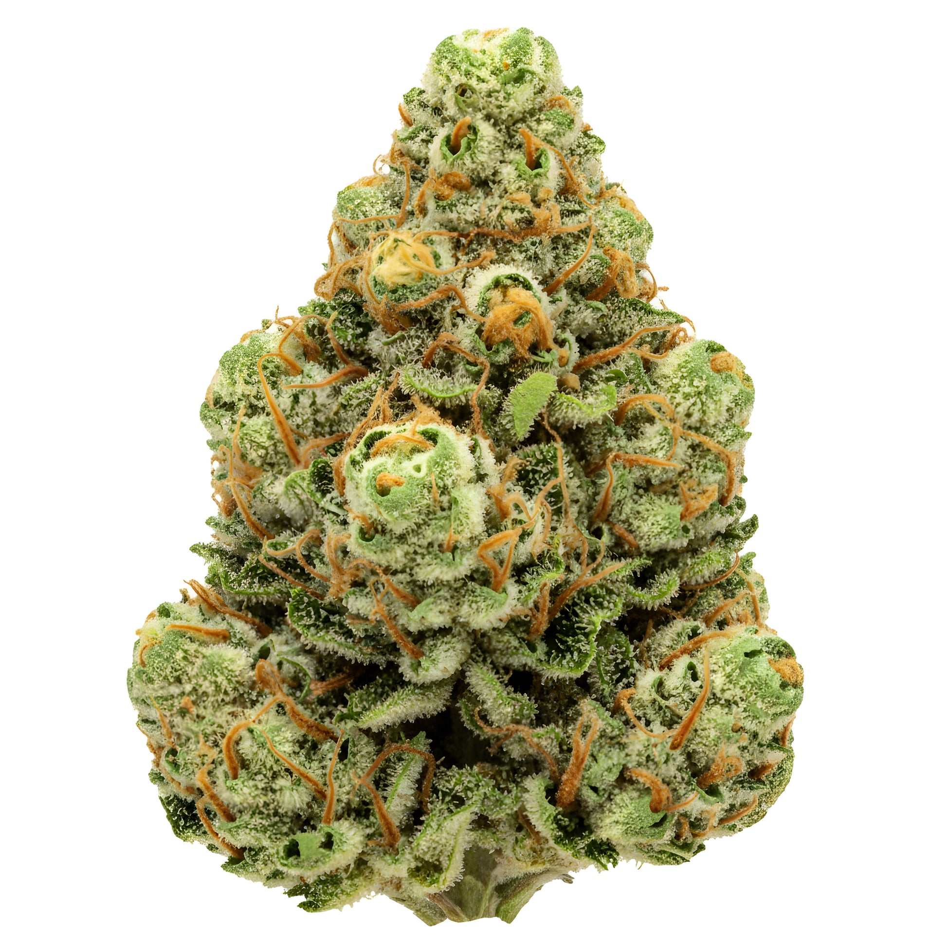 Main product photo of King Kong Killer THCA hemp flower AAA grade indica dominant, featuring large sticky buds with heavy resin, pungent diesel earthy aroma, 31 percent THCA