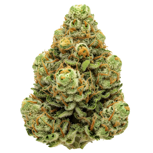 Main product photo of King Kong Killer THCA hemp flower AAA grade indica dominant, featuring large sticky buds with heavy resin, pungent diesel earthy aroma, 31 percent THCA | Hurcann