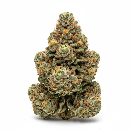 The olive-green nugs have hints of deep purple and fiery orange pistils.