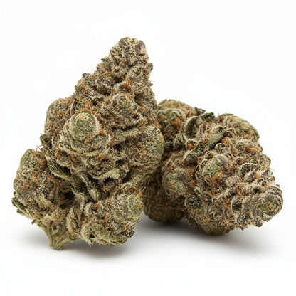 Colorful, eye-catching buds 