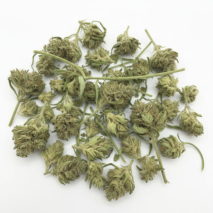Jet Fuel buds are light green with fiery orange pistils and a frosty trichome finish