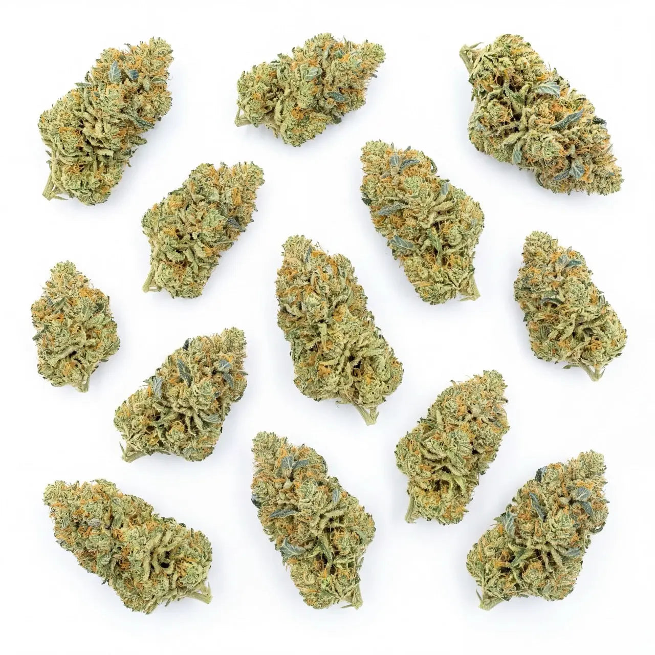 Top-down layout of multiple Blue Dream CBD flower buds arranged on a clean white background. | Hurcann