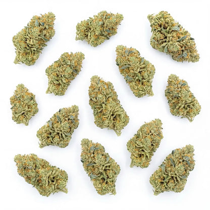 Top-down layout of multiple Blue Dream CBD flower buds arranged on a clean white background. | Hurcann
