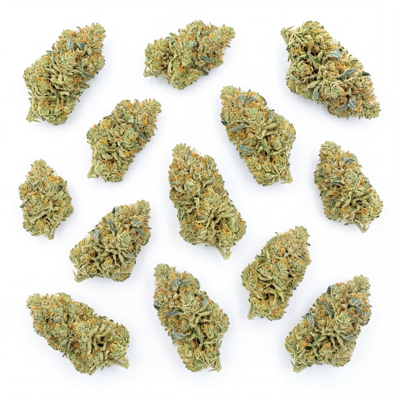 A selection of Blue Dream CBD buds showcasing the natural structure and consistency of the harvest. Each flower reflects the balanced appearance and quality expected from this strain.