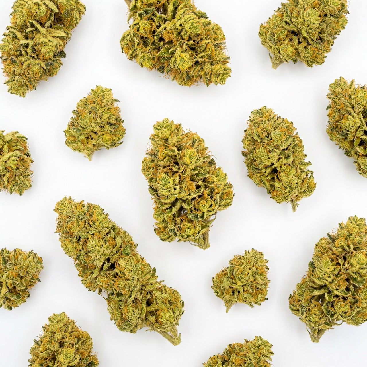 A selection of Lemon Octane CBD buds showcasing the natural structure and uniformity of the harvest. Each flower reflects the dense formation and visual quality expected from this strain.