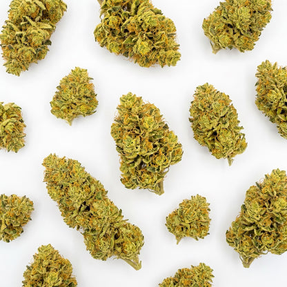 A selection of Lemon Octane CBD buds showcasing the natural structure and uniformity of the harvest. Each flower reflects the dense formation and visual quality expected from this strain.