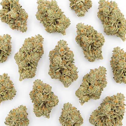 A selection of White Widow CBD buds showcasing the overall uniformity and structure of the harvest. Each flower reflects the natural density and visual quality expected from this classic strain.