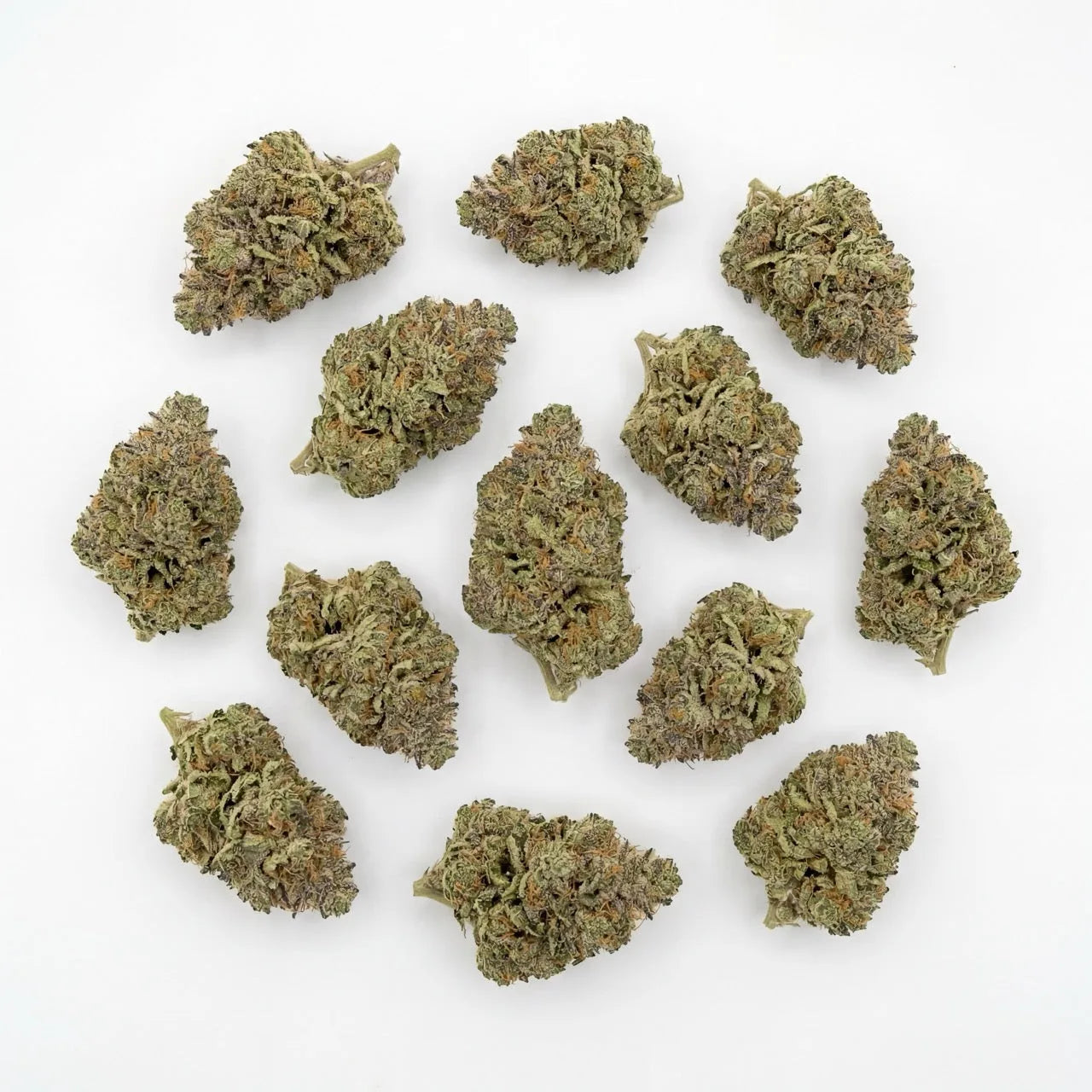 Top-down studio layout of multiple Gelato CBD flower buds arranged on a clean white background. | Hurcann