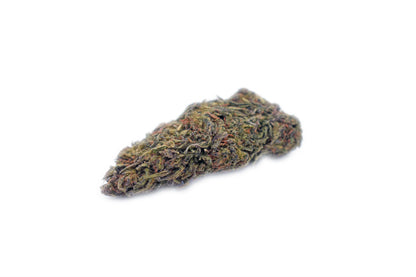 A single hand-trimmed Blue Genius CBD + Delta-8 THC bud, displaying its vibrant colors, sticky trichomes, and strong citrus-spice aroma with uplifting effects | Hurcann