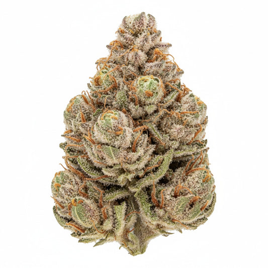 Strawberry is a sativa-dominant AA strain known for its uplifting and energizing effects. 